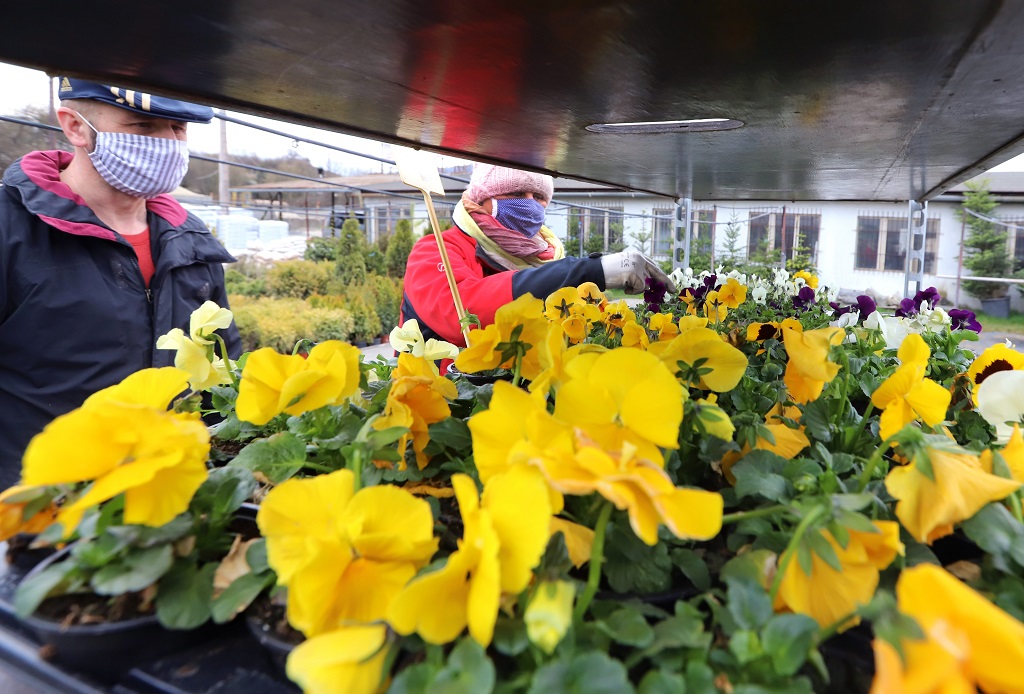 Kvetinárstvo počas pandémie