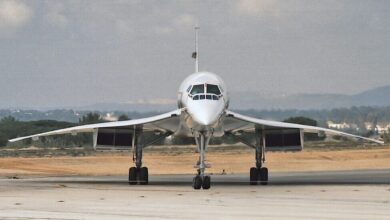 Foto: Pedro Aragão - CC BY-SA 3.0, Wikimedia Commons